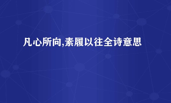 凡心所向,素履以往全诗意思