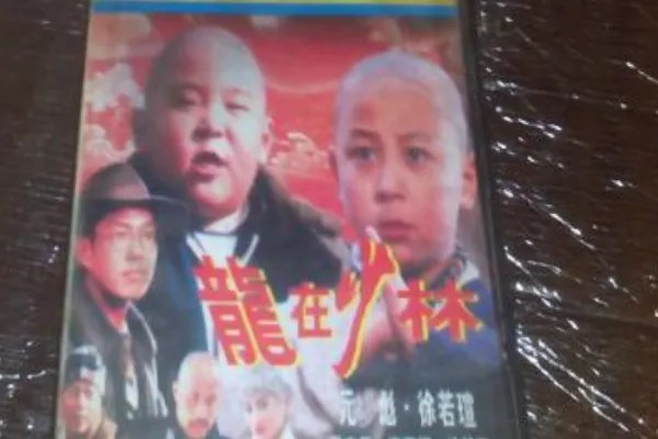 释小龙的电影有哪些