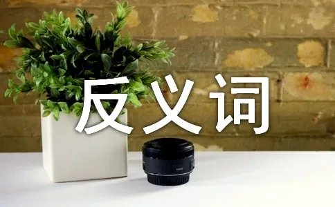 优势的反义词是什么