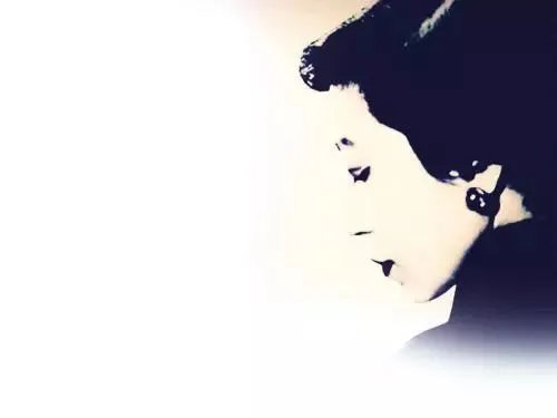 白月光与朱砂痣什么意思