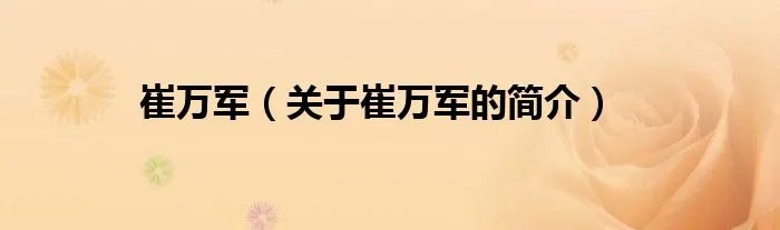 崔万军（关于崔万军的简介）