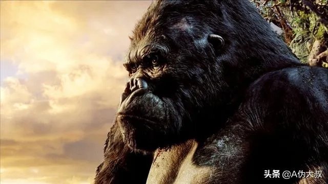 比较经典的探险类电影有哪些?