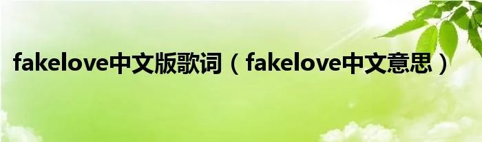 fakelove中文版歌词(fakelove中文意思)