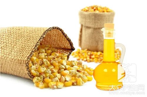 老玉米煮多长时间?