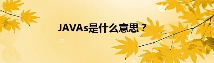 JAVAs是什么意思？