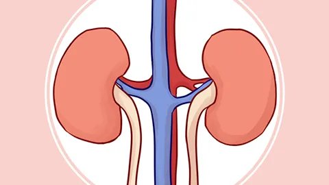 中药膏滋有什么作用