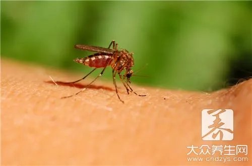 电蚊香怎么使用才安全