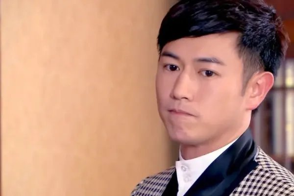 陈键锋主演的电视剧大全