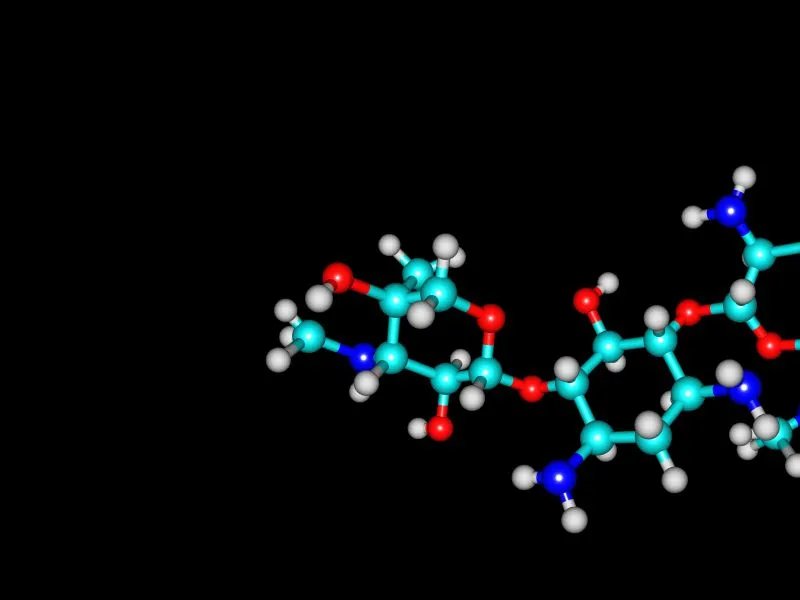 什么是细菌过滤器