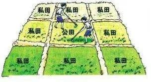 初税亩