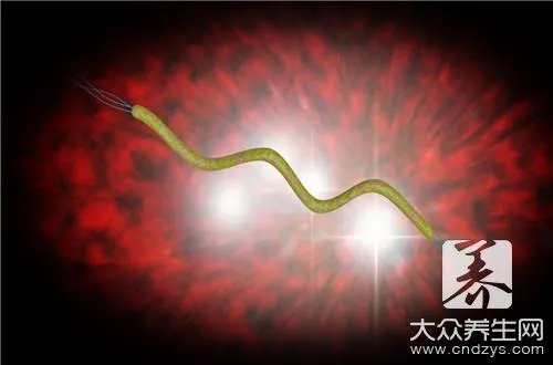 关于多粘菌素e，你知道多少？