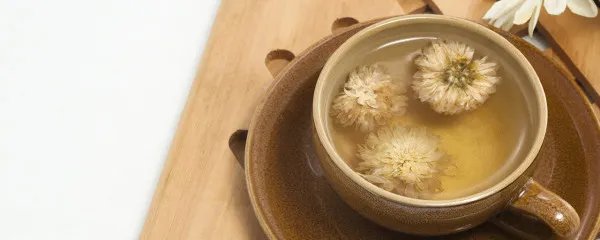 白菊花茶的功效与作用