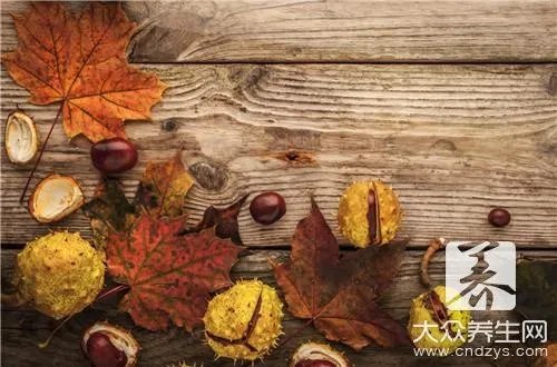 鲜板栗的保存方法有什么