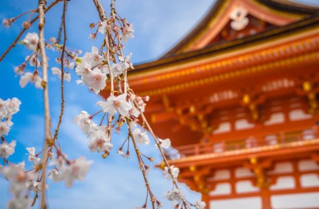 躲春是什么意思怎么躲 躲春白天可以出门吗