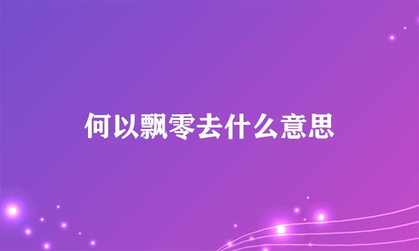 何以飘零去什么意思