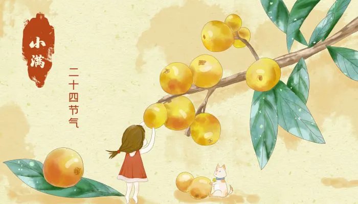 小满经典诗句 关于小满的诗句有哪些