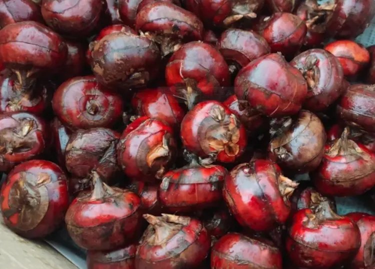 荸荠的功效与作用