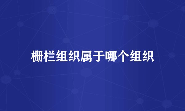 栅栏组织属于哪个组织