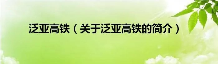 泛亚高铁（关于泛亚高铁的简介）