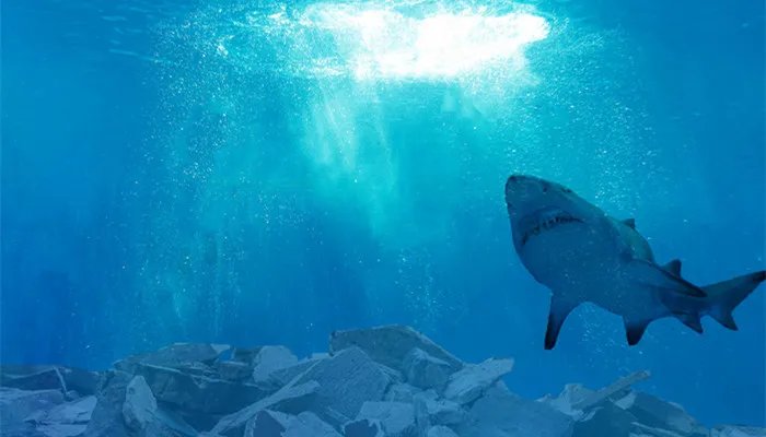 水污染的原因 水污染的原因是什么