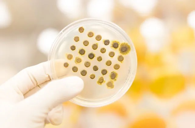 实验室耗材是什么意思 实验室耗材属于什么行业