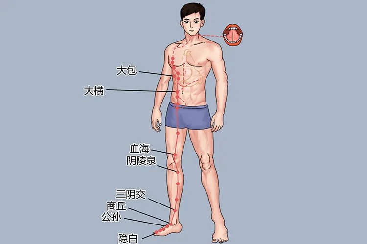 中医按摩经络图