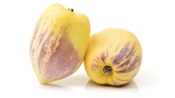 如果疫情永远不会结束,未来会是什么样?