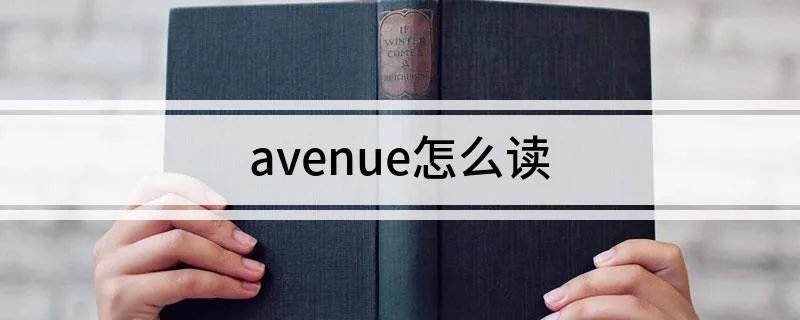 avenue怎么读
