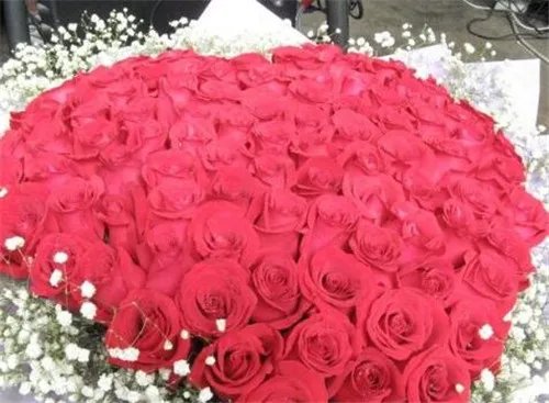 玫瑰花的含义是什么 玫瑰花适合送给什么人