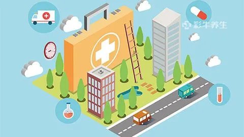 田七花的功效与作用