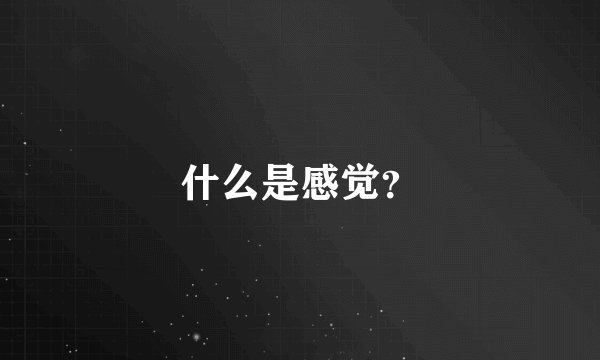 什么是感觉？