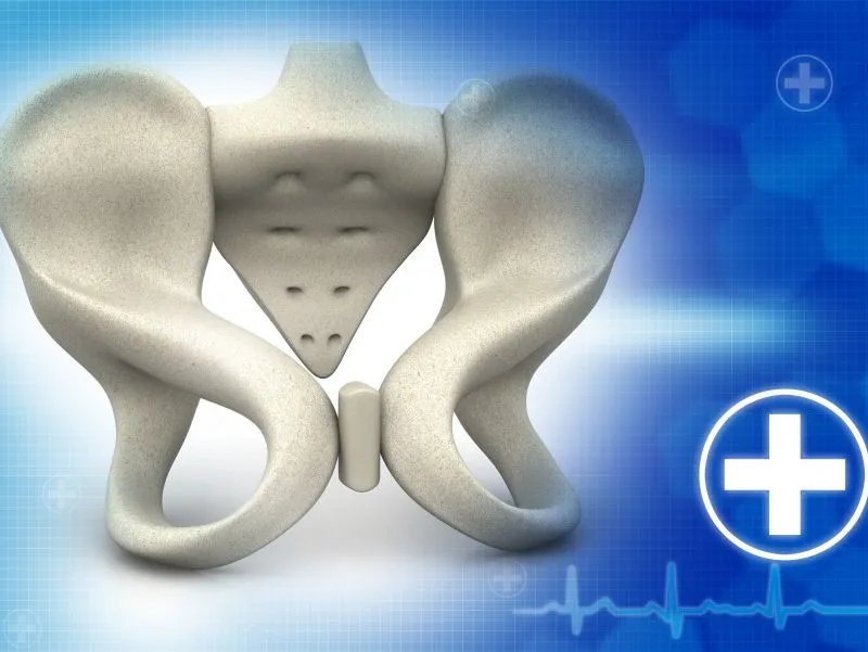 骨盆在人体的什么位置