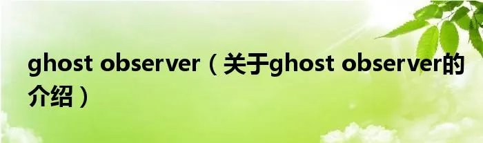 ghost observer（关于ghost observer的介绍）