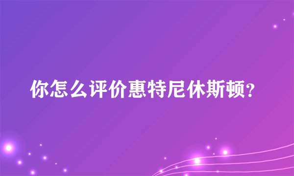 你怎么评价惠特尼休斯顿？