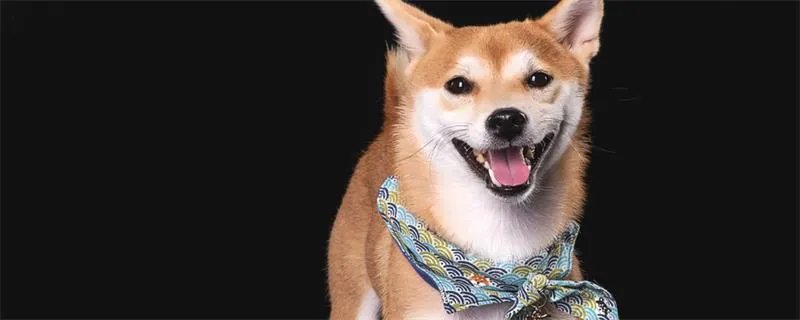 狗的平均寿命 狗的平均寿命是