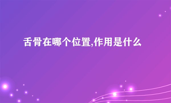 舌骨在哪个位置,作用是什么