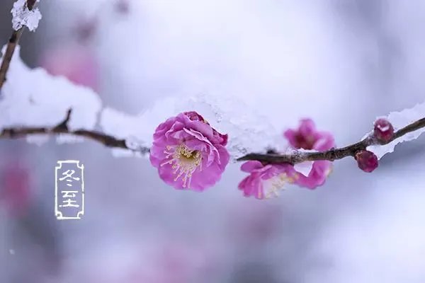 今年冬至是几月几日