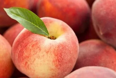 怀孕期间可以吃桃子吗?