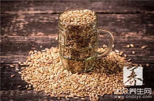 胚芽发育成什么