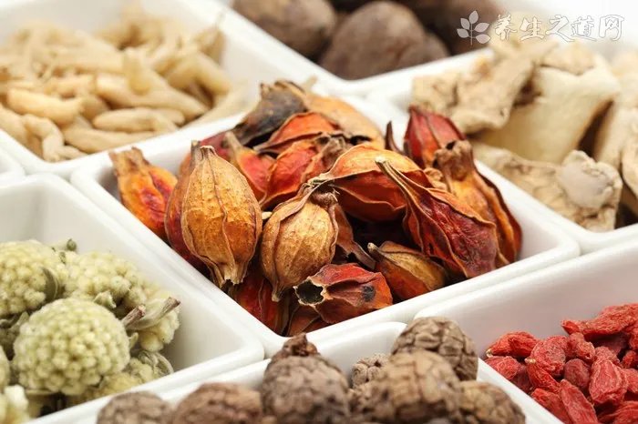 蚱蝉的功效与作用