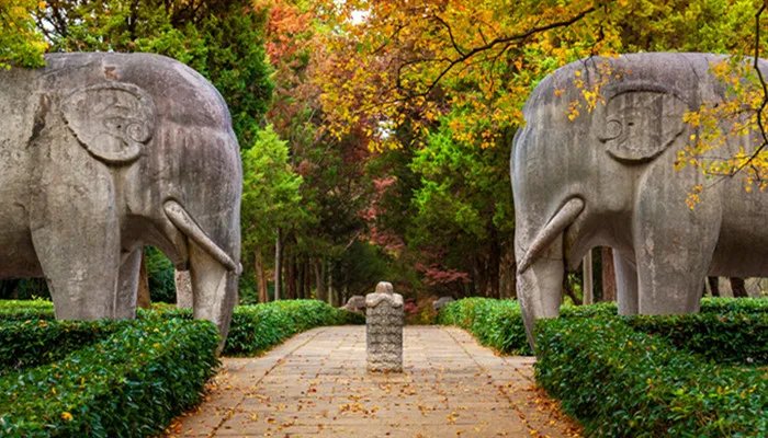 南京是什么城 南京是属于什么城之称