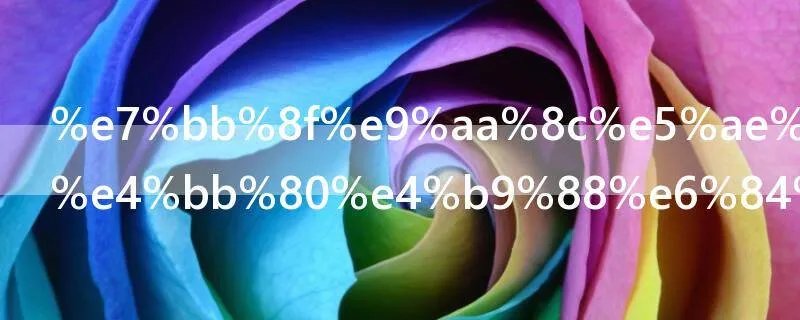 经验宝宝是什么意思