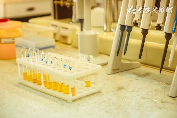 去上海需要什么证件