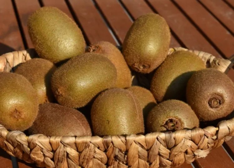 奇异果的功效与作用