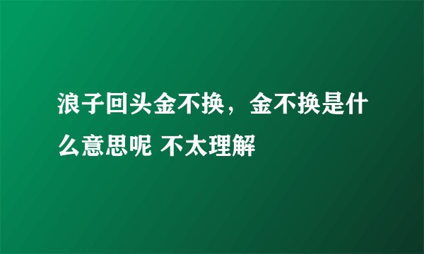 浪子回头金不换，金不换是什么意思呢 不太理解