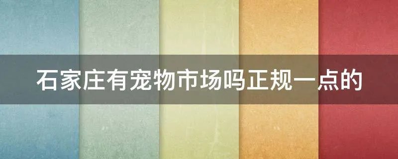 石家庄有宠物市场吗正规一点的