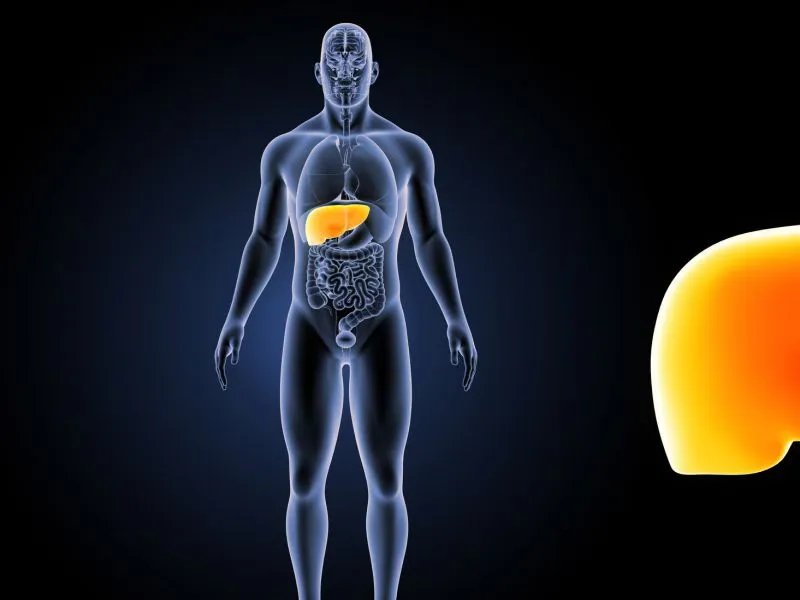 乙肝窗口期有多长时间