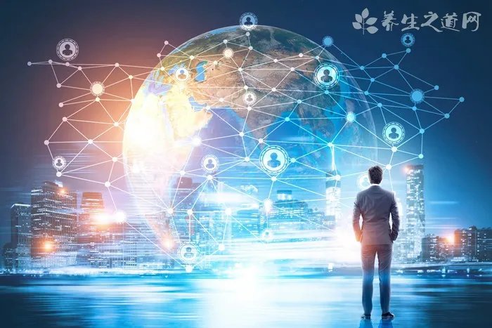 午子绿茶是什么茶，午子绿茶的特征