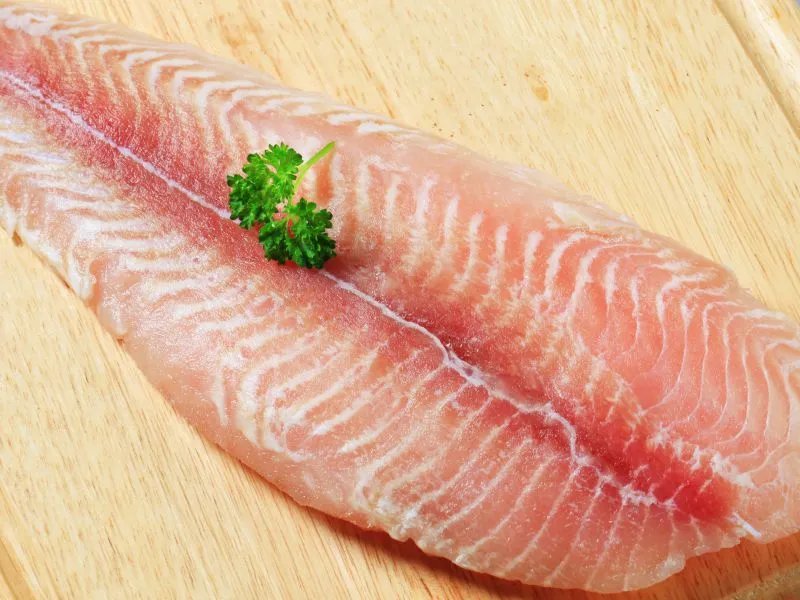 鲶鱼的营养价值