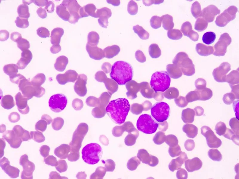 生长素的生理作用